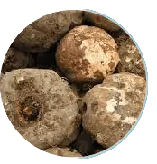 konjac-extract-fiber