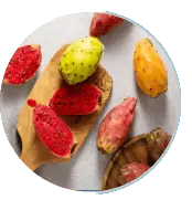 prickly-pear-extract