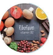 riboflavin